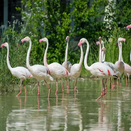 Vakantiehuis Lakeside In *