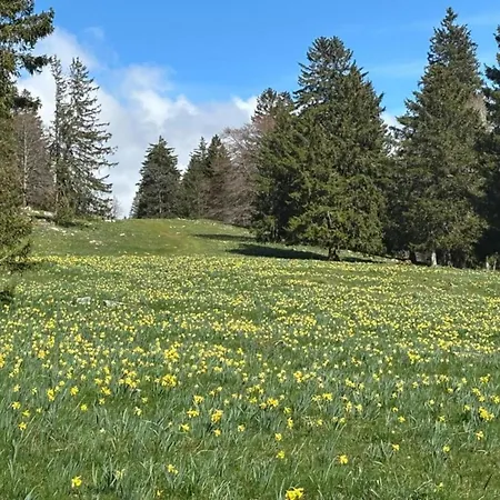 Moderne Am Kronenburger Vakantiehuis Hallschlag