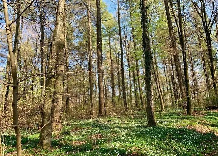 Lakeside In Hallschlag