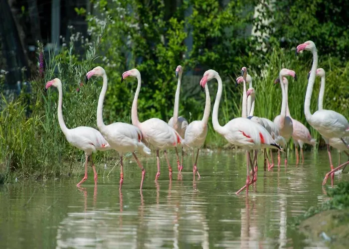 Casa de Férias Lakeside In *