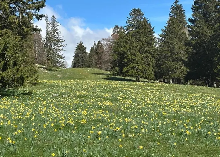 Lakeside In Casa de Férias Hallschlag